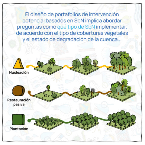 Soluciones basadas en Naturaleza