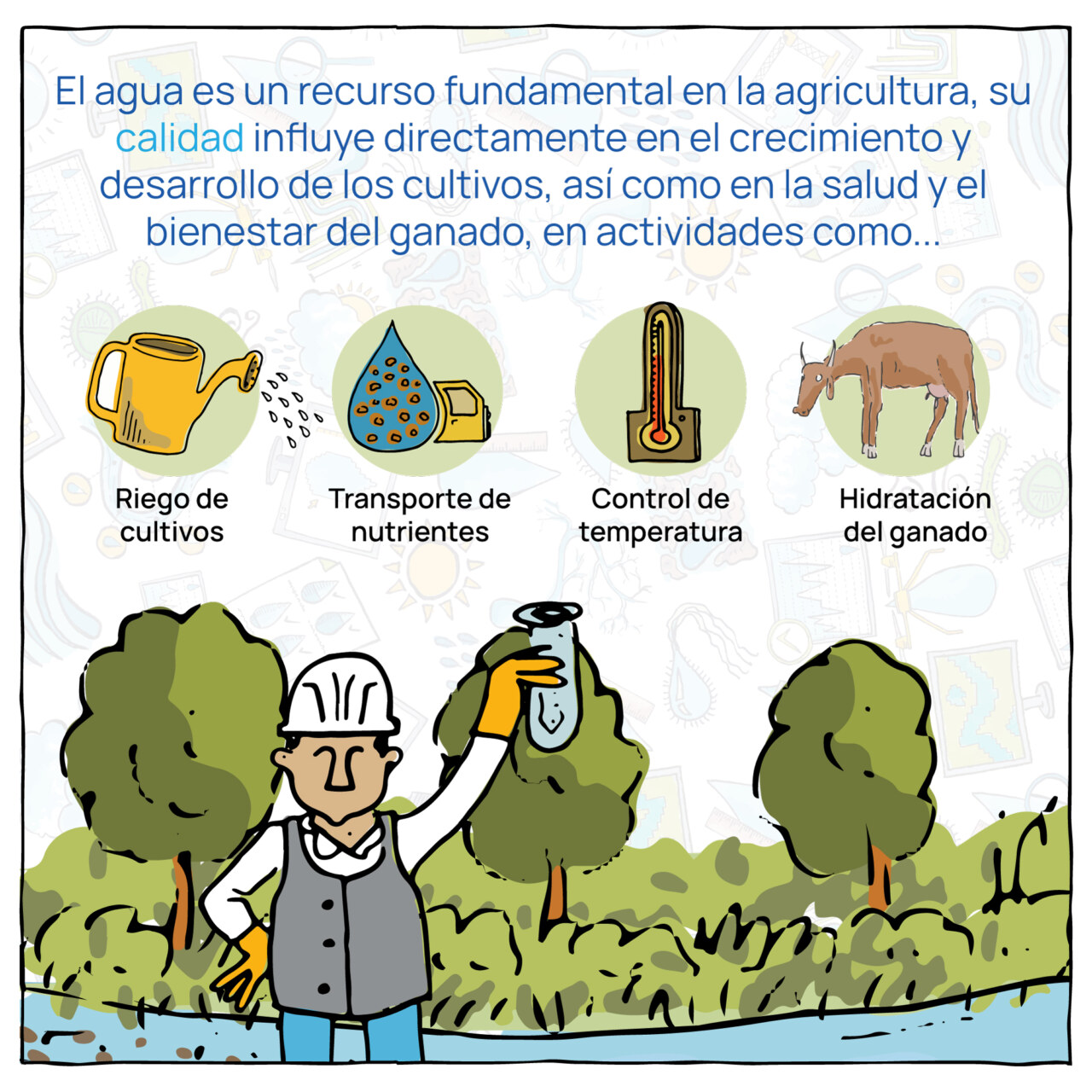 Calidad agro